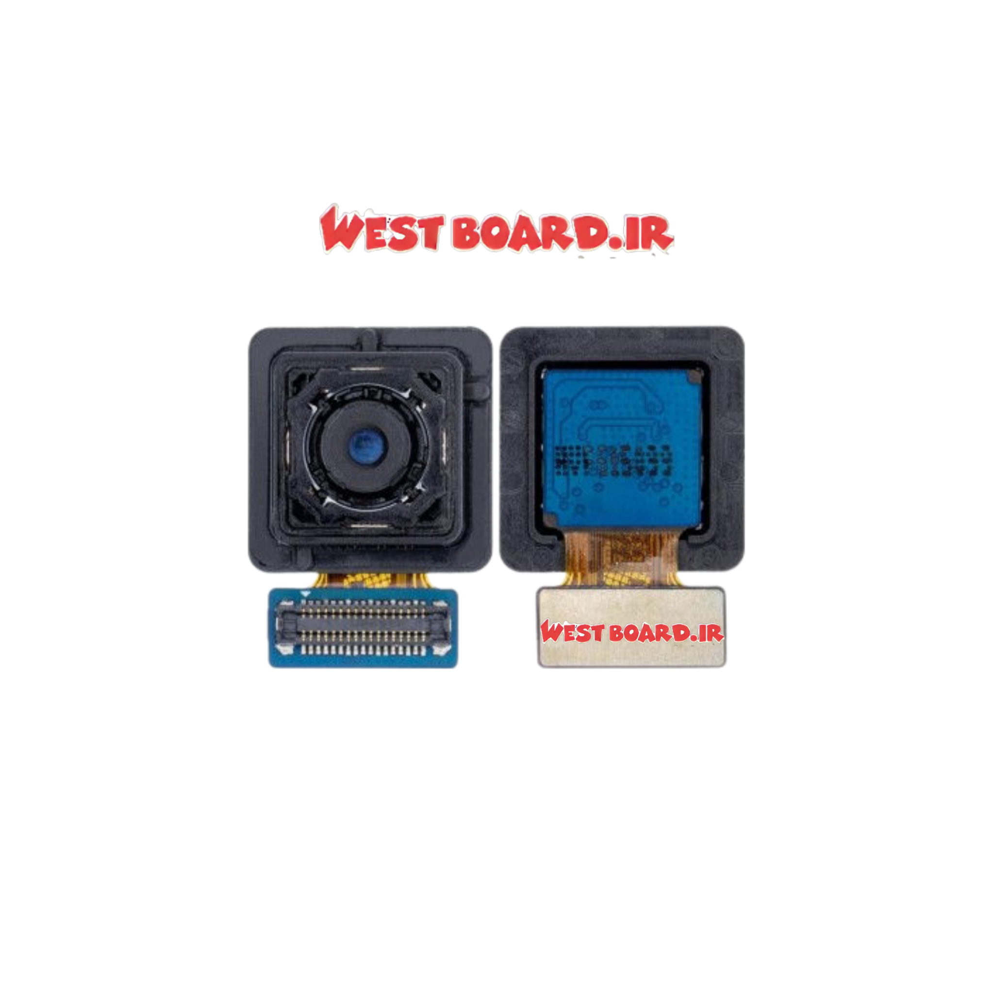 main cam