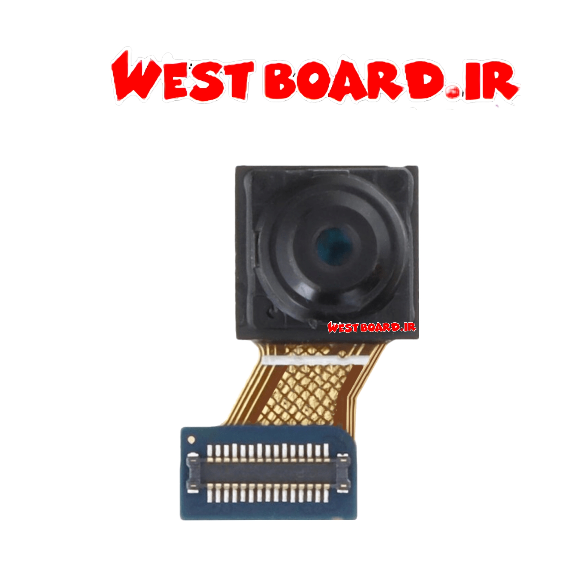 BackgroundEraser ۲۰۲۵۰۴۱۷ ۱۶۰۶۲۲۵۵۹